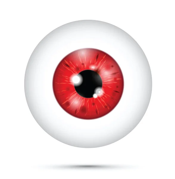 Red Realistic Eyeball — Stock Vector