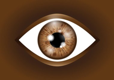 a brown Realistic eyeball clipart