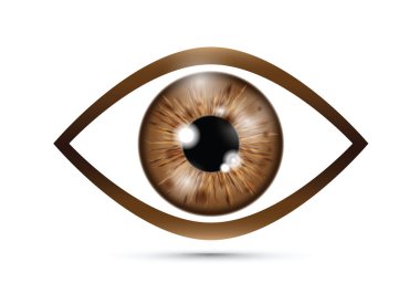 a brown Realistic eyeball clipart