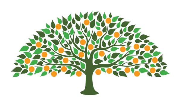 Abstrakter Orangenbaum — Stockvektor