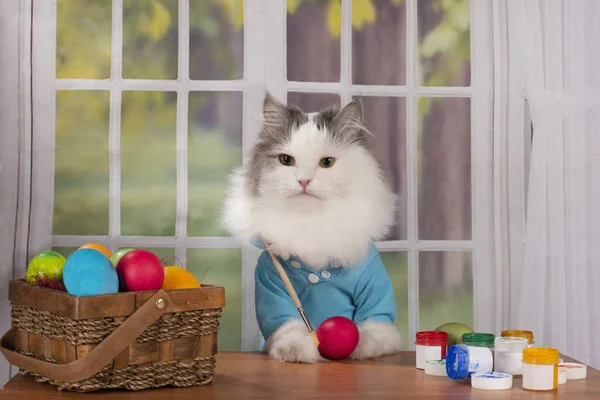 cat paints eggs for easter