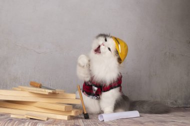 cat builder makes repairs in the apartment clipart