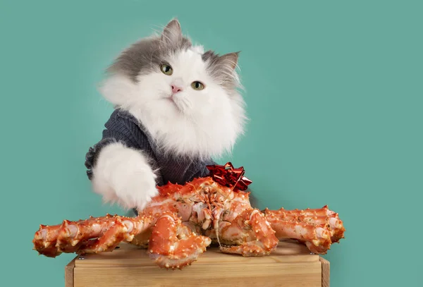 Greedy cat does not want to share the crab — Stock Photo, Image