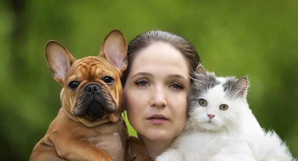 Portré egy lány egy macska és egy Francia Bulldog — Stock Fotó