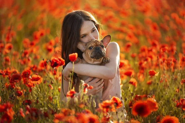 Junges Mädchen und ihr französischer Bulldoggen-Welpe auf einem Feld mit rotem Popp — Stockfoto