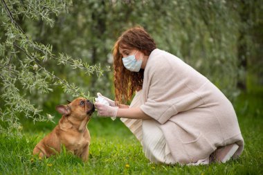 Tıbbi maskeli genç bir kadın yürüyüş için bir Fransız bulldog köpeğine tıbbi maske takıyor. Karantina sonrası yaşam