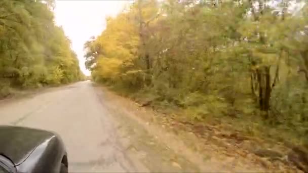 Auto jezdí v lese na podzim — Stock video
