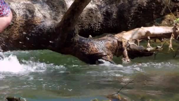 Folk sitter på en logg och swinging hennes ben i vatten — Stockvideo