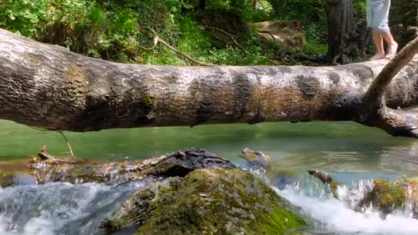 People walk on a log like a bridge, across a river — Stock Video