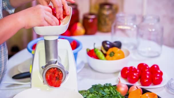 Preparação de pasta de tomate no moedor — Vídeo de Stock