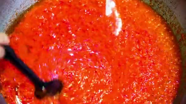 Stir in the pan tomato paste with butter — Stock Video
