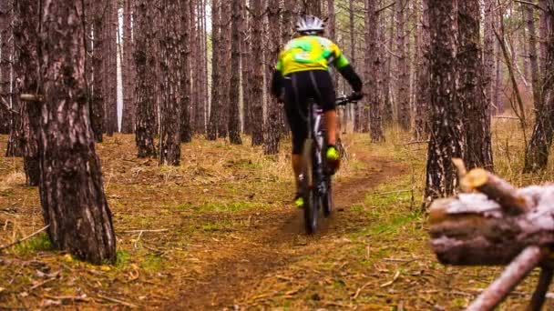 Ledare. Cyklister passera ett avsnitt av linjen mellan träden. — Stockvideo