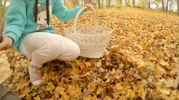 Дети собирают грибы, трюфели — стоковое видео