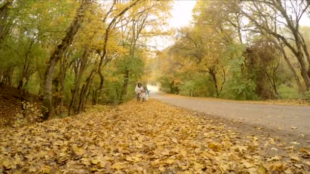 Родина грає в осінньому лісі — стокове відео