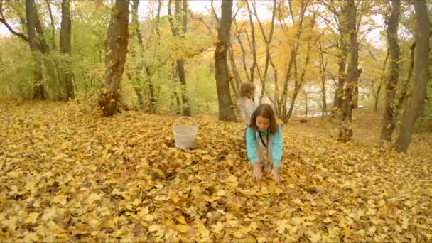 단풍을가지고 노는 아이 들 — 비디오