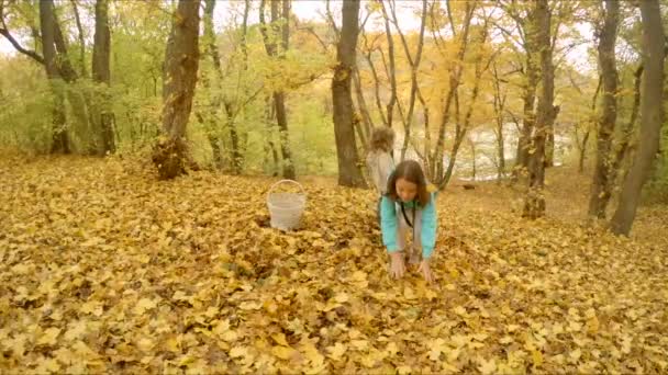 Children playing with foliage — Stock Video