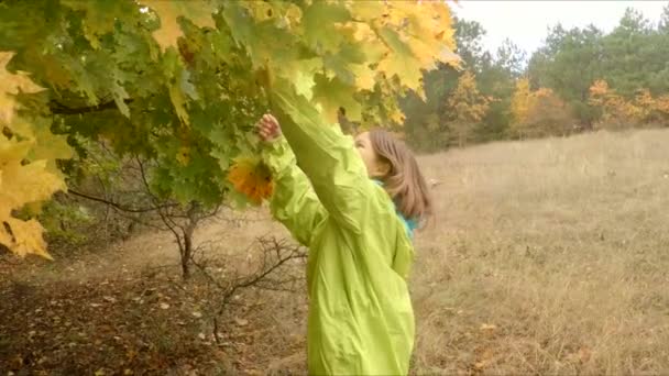 Дівчина шльопає листя, роса — стокове відео