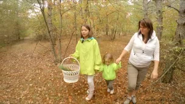 Семейные прогулки по осеннему лесу — стоковое видео