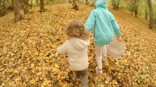 Crianças na floresta de outono — Vídeo de Stock