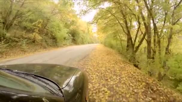 O carro anda ao longo da estrada de outono — Vídeo de Stock