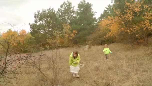 Kinderen zijn op zoek naar paddenstoelen in de herfst bos — Stockvideo