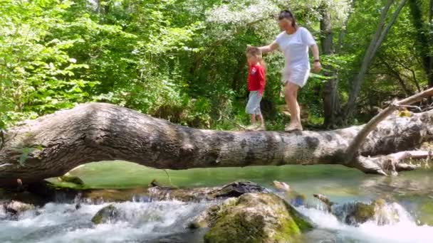 Maman et Fils marchent sur un tronc qui est tombé de l'autre côté de la rivière pour s'asseoir dessus . — Video