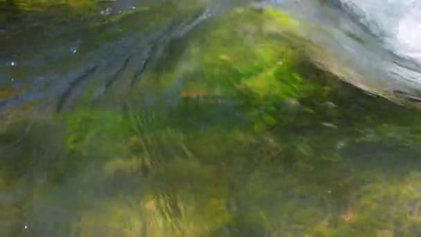 Вода в быстром горном ручье — стоковое видео