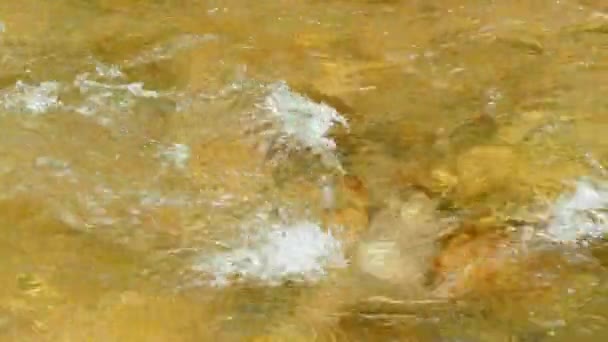 Un pequeño remolino en la superficie del arroyo — Vídeos de Stock