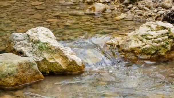 Stenarna bildar en damm på floden — Stockvideo