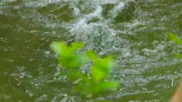 Швидка піниста річка створює піну на порозі — стокове відео