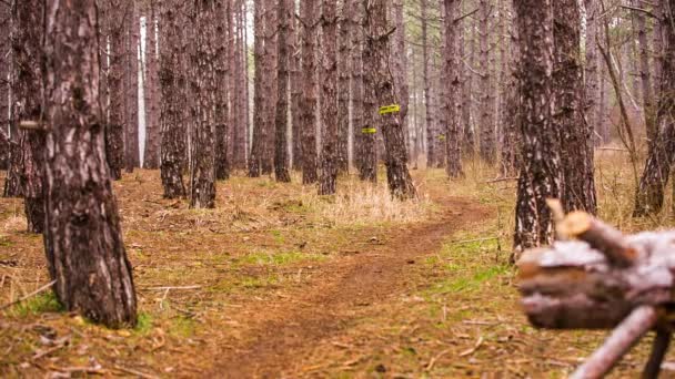 Ledare. Ett tomt område på tävlingar förväntan idrottsmän. — Stockvideo