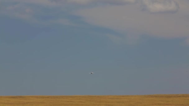 Vuelo del avión sobre el campo — Vídeo de stock