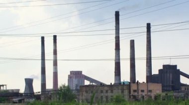bitkilerin sigara bacaları çok sayıda