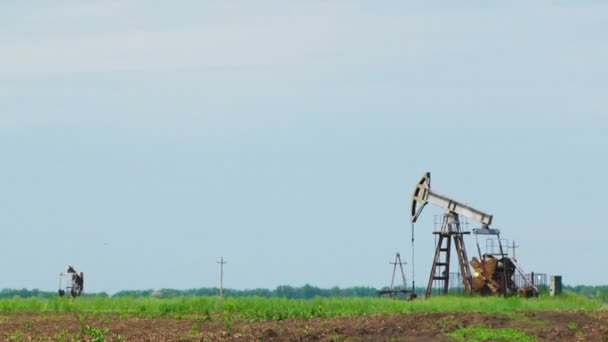 Mehrere Ölfördertürme auf dem Feld — Stockvideo