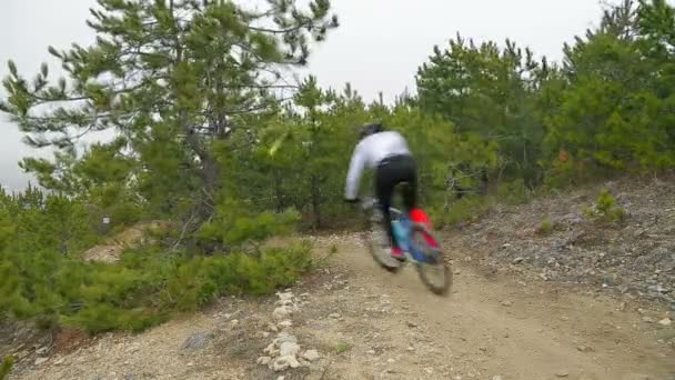 Editorial. Um ciclista monta uma seção sinuosa de uma estrada florestal . — Vídeo de Stock