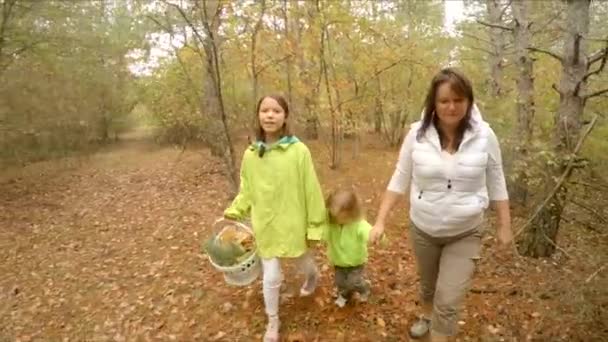 Родина збирає гриби в лісі — стокове відео