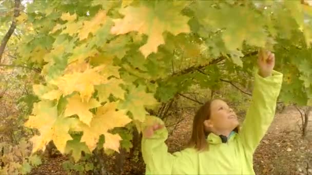 Fille déchire feuilles jaunes d'un arbre — Video