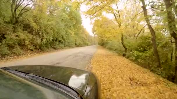 Автомобиль едет через осенний лес — стоковое видео