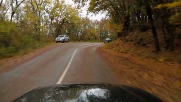 O carro se move ao longo da estrada com folhas em ruínas . — Vídeo de Stock