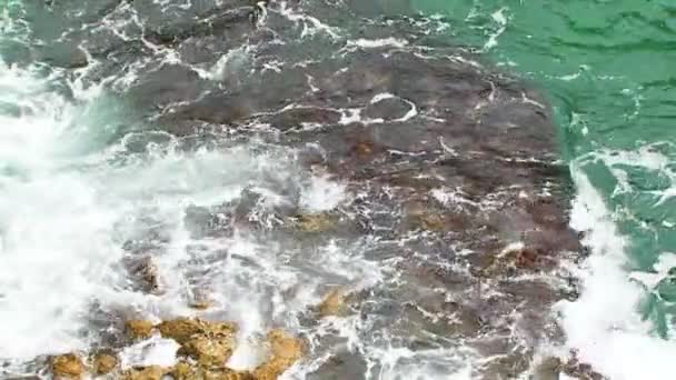 La ola está abrumada por una piedra cubierta de algas — Vídeo de stock