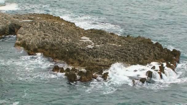 Волна бьется о вершину скалы в море — стоковое видео