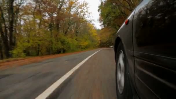 De auto rijdt langs de weg in het bos om haar auto 's te ontmoeten. — Stockvideo