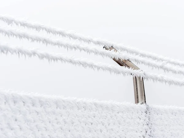 Hoarfrost in winter — Stock Photo, Image