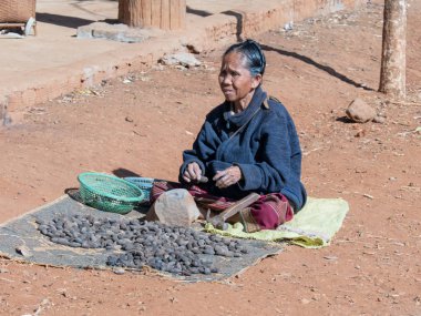 near pakse, laos - 11 24, 2018: woman sells nuts clipart