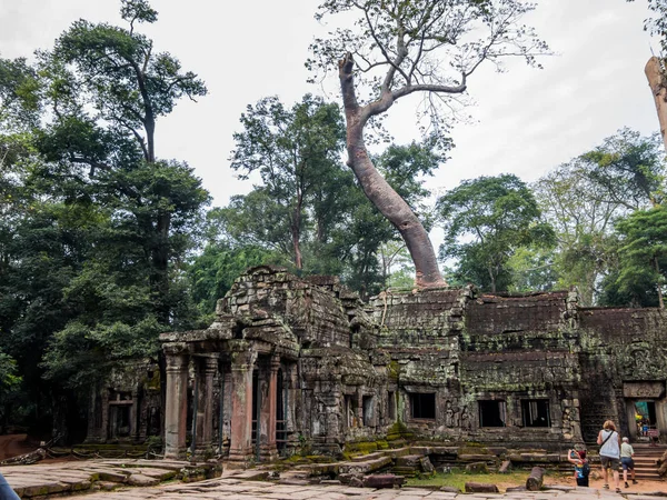 Angkor thom, cambodia - 11 28, 2018: ta prohm monasterio — Foto de Stock