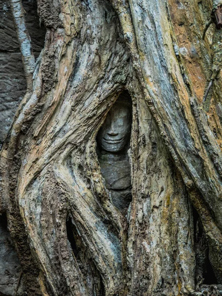 Angkor thom, cambodia-11 28, 2018: ta prohm 修道院 — 图库照片