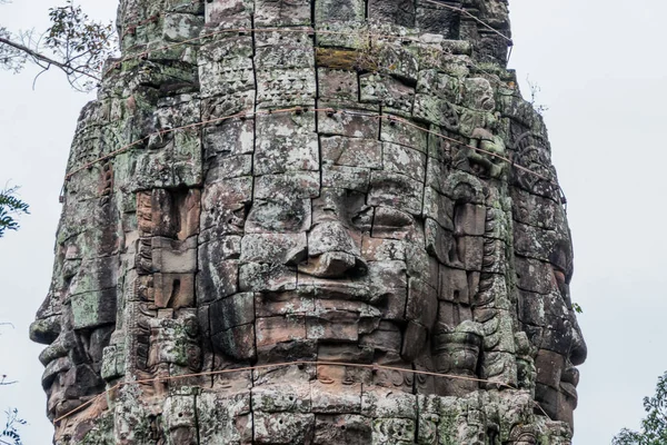 Angkor, Cambodja - 11 28, 2018: ta prohm klooster — Stockfoto