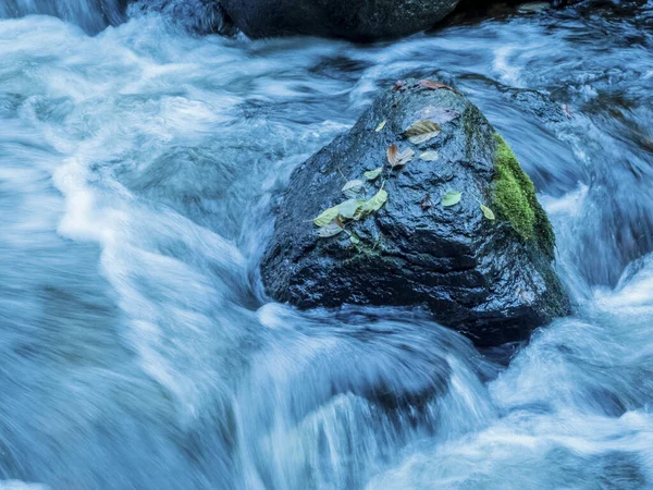 Creek with running water — Stock fotografie