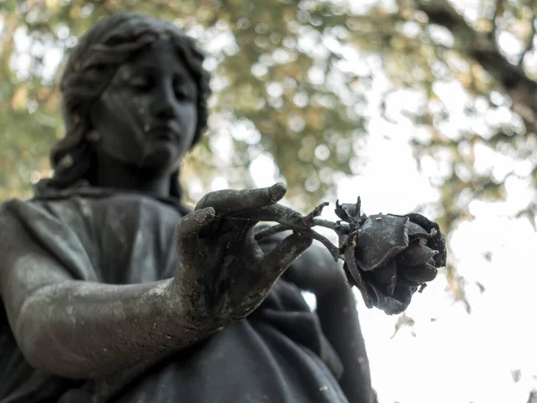 Ангел з трояндою на цвинтарі — стокове фото