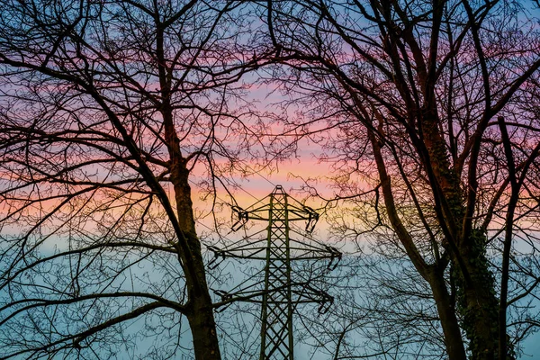 Maszty linii energetycznej przed drzewami. — Zdjęcie stockowe